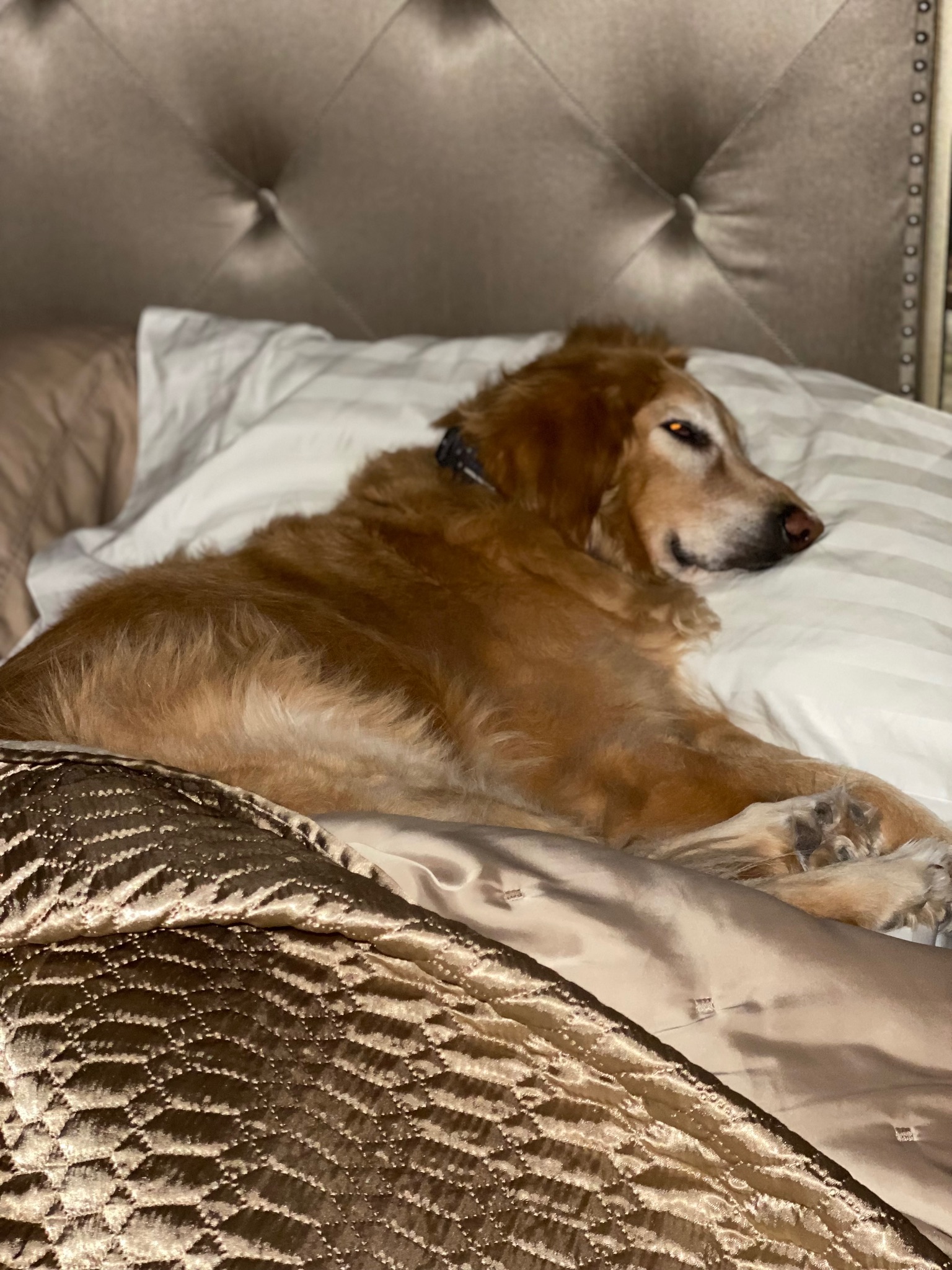 Louie memory
